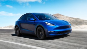 Tesla Model Y | 2021MY