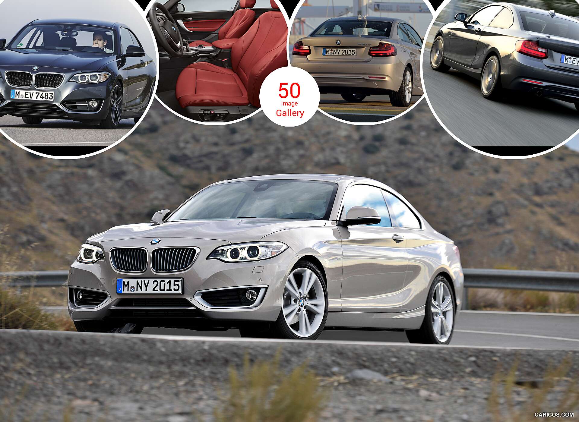 14 Bmw 2 Series Coupe Caricos