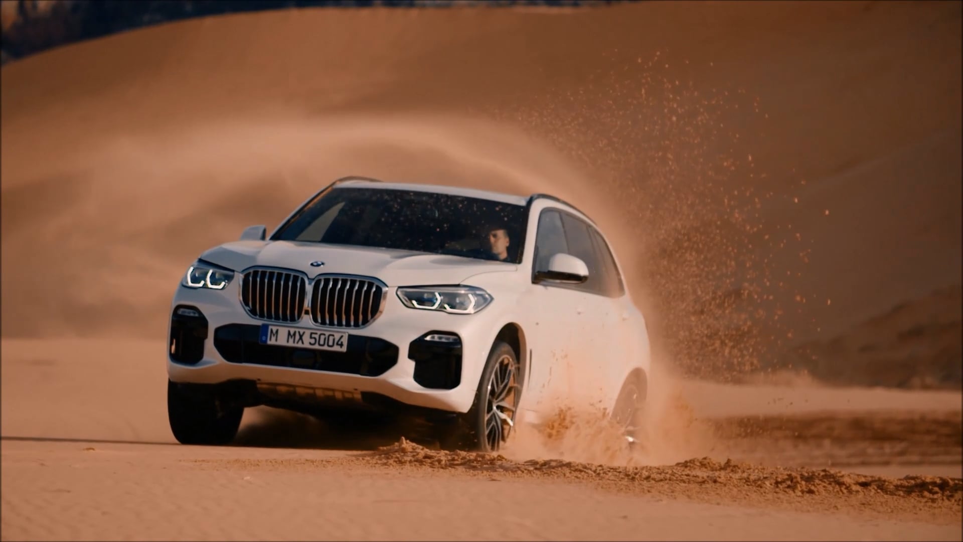 Overview: 2019 BMW X5